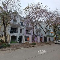 Căn Liền Kề Mặt Tiền 5M Đã Hoàn Thiện Đẹp, Vị Trí Siêu Vip Tại Khu A Kđt Geleximco
