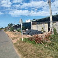 300M Thổ Cư Mặt Tiền Dt753 Hướng Nối Về Sân Bay Quốc Tế Long Thành Giá Siêu Rẻ