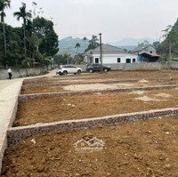 Đất Đẹp Lương Sơn Lưng Tựa Núi, 3 Mặt Thoáng, Chỉ Từ Vài Trăm Triệu!