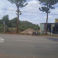 Bán Lô Đất Mặt Tiền Đường Lê Hồng Phong Tt Thị Trấn Ngãi Giao - Châu Đức - Brvtdiện Tích649M2 Có 50M2 Tc