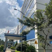 Chính Chủ Bán Gấp Giá Tốt Tháng 2 Này - Nhà Phố 6X21M - Hầm + 3L + Thang Máy - 19,8 Tỷ Tl