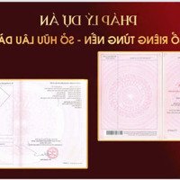 Chớp Cơ Hội Vàng Sở Hữu Nhà Phố Khang Phát Diamond Central Ngay Hôm Nay!