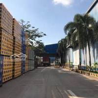Cho Thuê Kho Xưởng Kcn Tân Kim, Long An, Khuôn Viên : 8.000M2, Xưởng : 2.000M2,3.000M2