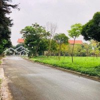 Cả Việt Nam Có Một Nội Bài, Biệt Thự Góc Liền Kế Đông Anh, Đi Bộ Sang Sân Bay, Gọi Chính Chủ Sổ Đất