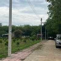 Bán Đất 5M Mặt Tiền, 680 Triệu, 260M2 Tại An Bình, Phú Giáo, Bình Dương, Giá Ưu Đãi Uy Tín.