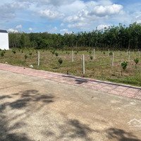 Bán Đất 5M Mặt Tiền, 680 Triệu, 260M2 Tại An Bình, Phú Giáo, Bình Dương, Giá Ưu Đãi Uy Tín.