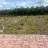 Bán Đất 5M Mặt Tiền, 680 Triệu, 260M2 Tại An Bình, Phú Giáo, Bình Dương, Giá Ưu Đãi Uy Tín.