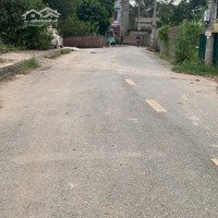 Cực Nóng. Cần Bán Gấp Đất Siêu Hót 80M Đấu Giá Hội Phụ, View Đường Dẫn Tứ Liên, Cổ Loa, Giá Đầu Tư