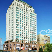 Bán Gấp Căn Hộ Chung Cư Golden King, 4,2 Tỷ, 73M2, Tân Phú, Quận 7, Hcm