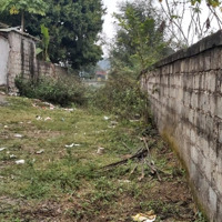 Chủ Bán 1000M2 Cư Yên Cách Trục Chính Chỉ Vài Bước Chân, Giá Nhỉnh 3 Tỷ