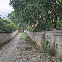 Chủ Bán 1000M2 Cư Yên Cách Trục Chính Chỉ Vài Bước Chân, Giá Nhỉnh 3 Tỷ