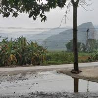 Chủ Bán 1000M2 Cư Yên Cách Trục Chính Chỉ Vài Bước Chân, Giá Nhỉnh 3 Tỷ