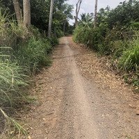 Bán Lô Đất Thổ Cư Cách Thành Phố Long Khánh 12Km. Cách Nhựa Vài Bước Chân