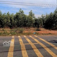 Cho Thuê Đất Mặt Tiền Đường Đt 762, Tt Vĩnh An, Vĩnh Cửu, Đồng Nai, Giá Chỉ 5 Triệu/Tháng