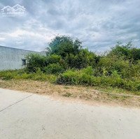 Đất Dân Cắt Bán Xã Ninh Phụng Ninh Hòa, 112M2, Giá Bán 450 Triệu, Gần Chợ Dục Mỹ