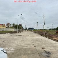 Cần Bán Đất Đấu Giá Thôn Bạch Đa - Kim Hoa - Mê Linh - Hn. Gần Đường Vành Đai 4.