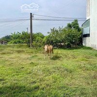 Bán Nhanh Lô Đất Đ. Tỉnh Lộ 909. Xã Hoà Tịnh .Long Hồ. Vĩnh Long. Giá 600 Triệu/120M2. Shr .Full Thổ Cư
