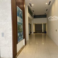 Cho Thuê Nhà 8 Tầng Mặt Phố Khu Vực An Trạch, Cát Linh, Hào Nam