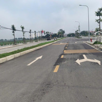 Cực Hót Hiếm. Cần Bán Lô Đất 71M Mặt Phố Mai Hiên, Kinh Doanh Bất Chấp, Sát Vin Cổ Loa, Cầu Tứ Liên