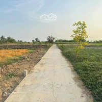 Bán Đất Đẹp Tại Gò Công, Tiền Giang, Giá Tốt 350 Triệu, 150 M2(6X25M) Full Thổ Có Sổ Sẵn
