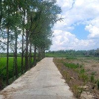 Bán Đất Đẹp Tại Gò Công, Tiền Giang, Giá Tốt 350 Triệu, 150 M2(6X25M) Full Thổ Có Sổ Sẵn
