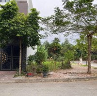 Bán Lô Góc Khu B Liền Kề Nam Đầm Vạc, Gần Trường Học, Sẵn Sổ Công Chứng