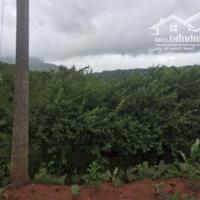 Mộc Châu 872m², thổ cư 400m², gần QL43, giá chỉ 950 triệu