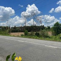 Bán Đất Tại Đường 41, Xã Thạnh Mỹ, Tân Phước, Tiền Giang, Giá Ưu Đãi 14 Tỷ Full Thổ Cư