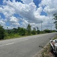 Bán Đất Tại Đường 41, Xã Thạnh Mỹ, Tân Phước, Tiền Giang, Giá Ưu Đãi 14 Tỷ Full Thổ Cư
