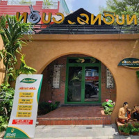 Siêu Đẹp Cho Thuê Biệt Thự Sần Vườn Gần Phố Quang Trung - Hoàn Kiếm