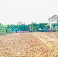 Chính Chủ Cần Tiền Bán Gấp 200M2 Đất Phía Nam Hội An Chỉ Nhỉnh 1 Tỷ.