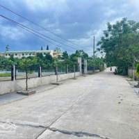Chính Chủ Cần Tiền Bán Gấp 200M2 Đất Phía Nam Hội An Chỉ Nhỉnh 1 Tỷ.