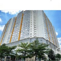 Cho Thuê Phòng Master (Có Wc Riêng) Căn Hộ Chung Cư The Cbd Premium