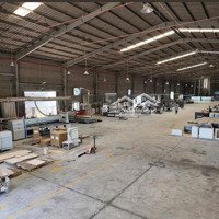 Xưởng Bến Cát 6000M Pccc Tự Động, Đường Xe Cont . Sx Tất Cả Ngành Nghề Gỗ Trắng , Phun Sơn.