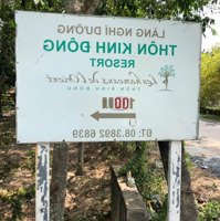 Bán Gấp Lô Đất Ở Đường Trung Lập, Gần Trường Học, Gần Trạm Y Tế Gần Ủy Ban Gần Chợ Trung Lập