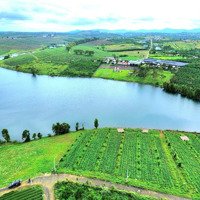Bán Đất Giáp Hồ Ngay Trung Tâm Bảo Lộc 700M2, Giá Bán 2 Tỷ 370