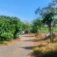 Bán Đất Sẵn Thổ Cư Đường Số 1, Tân Lạc, Bảo Lâm