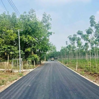 Bán Nhanh Đất Mặt Tiền Đường Dh504 Phú Giáo Bình Dương, 660 Triệu Hơn 500M2