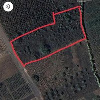 Bán 3345M2 Đất Trống Đambri, Tp Bảo Lộc, Lâm Đồng, Sổ Hồng, Giá 7,2 Tỉ