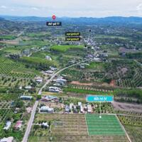 Mỹ Đức-Đạ Tẻh-Lâm Đồng diện tích trên 300m2 sẵn 100m2 thổ cư giá chỉ 2xxtr mặt tiền nhựa kdc đông đủ tiện ích