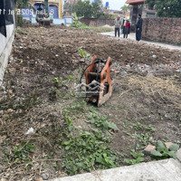 Cc Cần Bán Nhanh Lô Góc (Tuyệt Đẹp) 119M2, Giá Chỉ 600 Triệu Tại Thái Thụy