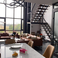 Cho Thuê Nhà 7 Tầng Đúng Mặt Phố Lâm Hạ, Diện Tích Mỗi Sàn 90M2, Thang Máy, Full Nội Thất Cao Cấp