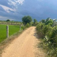 Bán Đất Ma Lâm 1,3 Sào Giá Bán 390 Triệu Đất 2 Mặt Tiền Đường Ô Tô