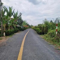 Chính Chủ Cần Bán 1,500 M2 Đất Phường Tân Quy Đông, Sa Đéc, Đồng Tháp Giá Siêu Rẻ 0903969438 Ngọc
