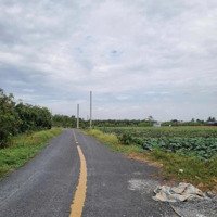 Chính Chủ Cần Bán 1,500 M2 Đất Phường Tân Quy Đông, Sa Đéc, Đồng Tháp Giá Siêu Rẻ 0903969438 Ngọc