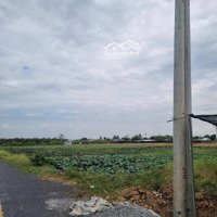 Chính Chủ Cần Bán 1,500 M2 Đất Phường Tân Quy Đông, Sa Đéc, Đồng Tháp Giá Siêu Rẻ 0903969438 Ngọc