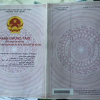Cần Bán Nhà Cấp 4 Đường An Thượng 8