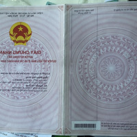 Cần Bán Nhà Cấp 4 Đường An Thượng 8