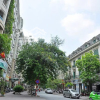 Chính Chủ Cần Bán Lô Biệt Thự 200M2 Tại Khu Đô Thị Sudico - Mỹ Đình Giá Rẻ