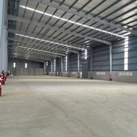 cho thuê kho xưởng mới pccc tư đông kcn đức hòa